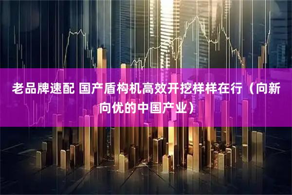 老品牌速配 国产盾构机高效开挖样样在行（向新向优的中国产业）