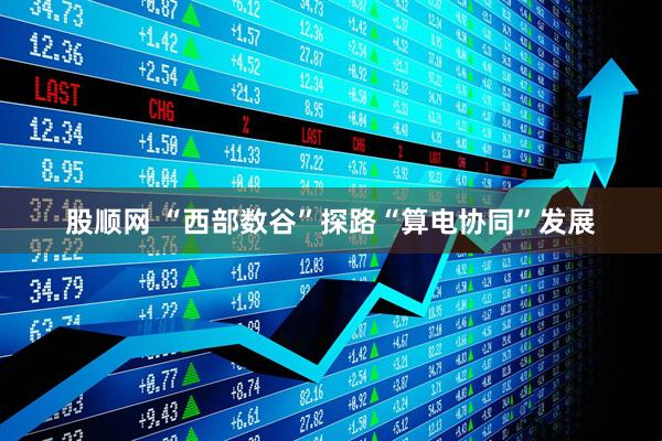 股顺网 “西部数谷”探路“算电协同”发展