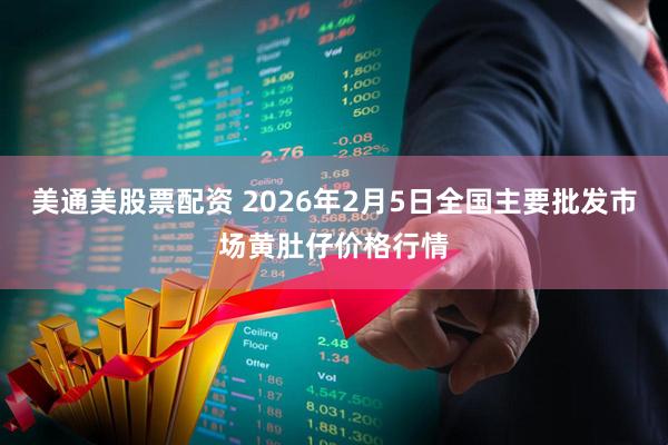 美通美股票配资 2026年2月5日全国主要批发市场黄肚仔价格行情