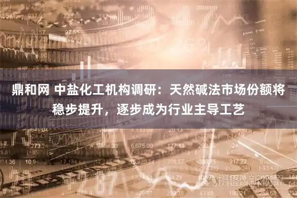 鼎和网 中盐化工机构调研：天然碱法市场份额将稳步提升，逐步成为行业主导工艺