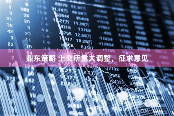 鼎东策略 上交所重大调整，征求意见