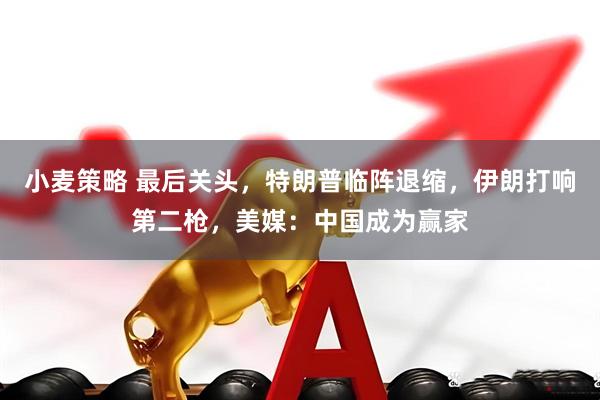 小麦策略 最后关头，特朗普临阵退缩，伊朗打响第二枪，美媒：中国成为赢家