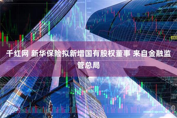 千红网 新华保险拟新增国有股权董事 来自金融监管总局